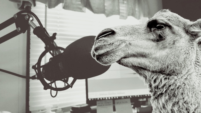Featured image for JBoss Asylum Podcast about Apache Camel 3