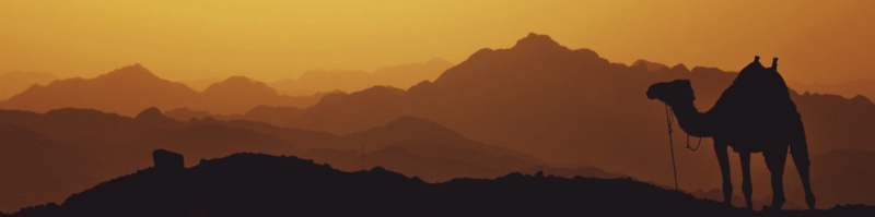 Featured image for Custom Web API Component