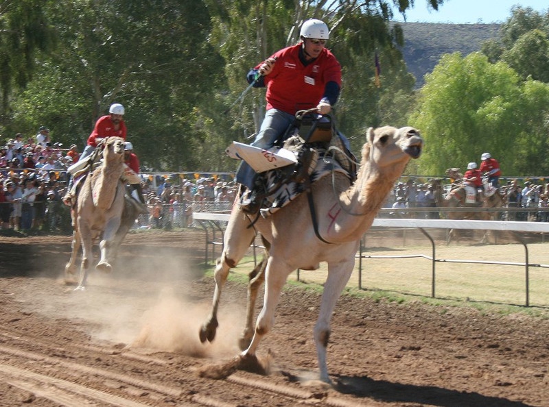 Featured image for Camel Quarkus 1.5.0 Released