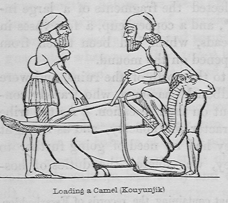 Featured image for Camel K 1.10 release