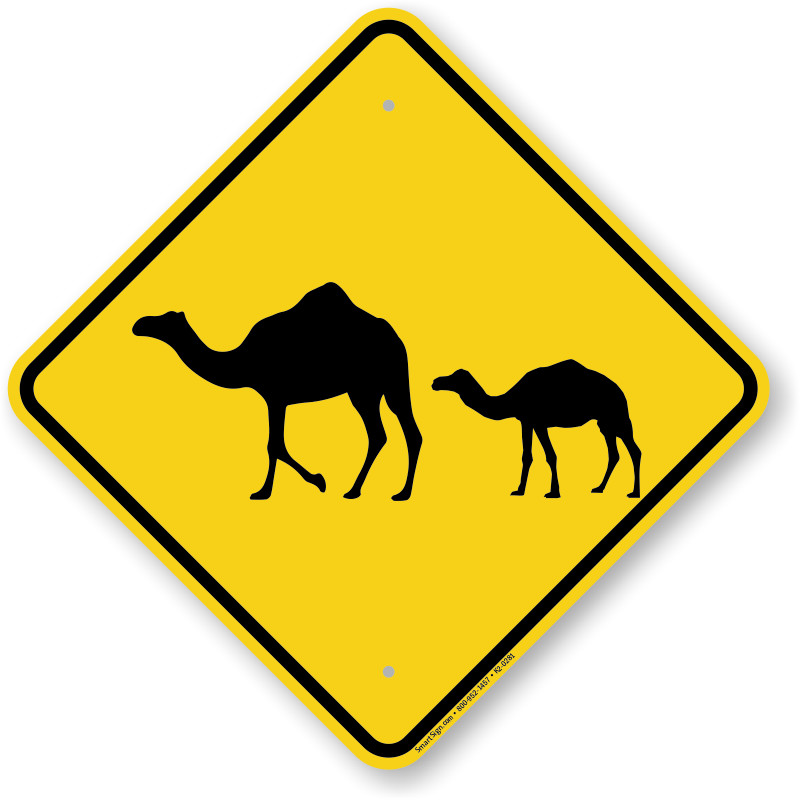 Featured image for Camel K 2.0
