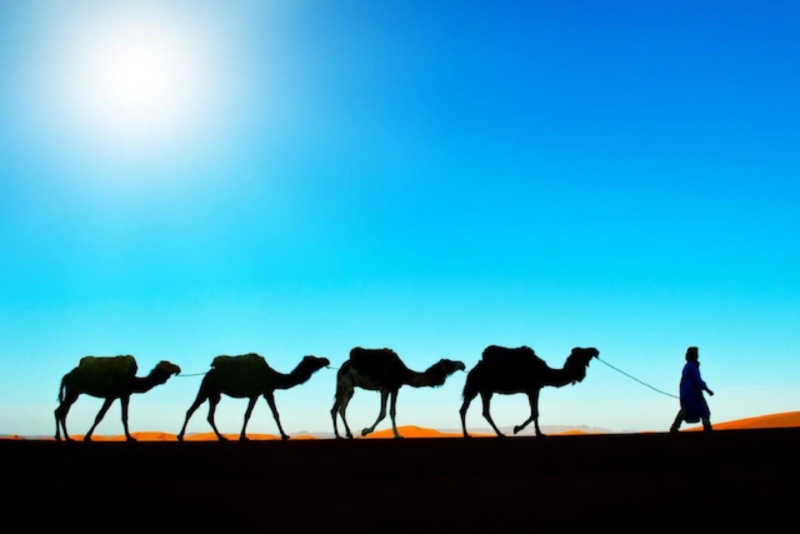 Featured image for Apache Camel 4.6 What's New