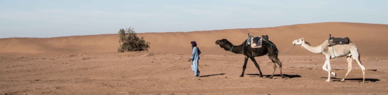 Featured image for RELEASE 4.8.8